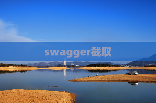 swagger截取 swagger截取